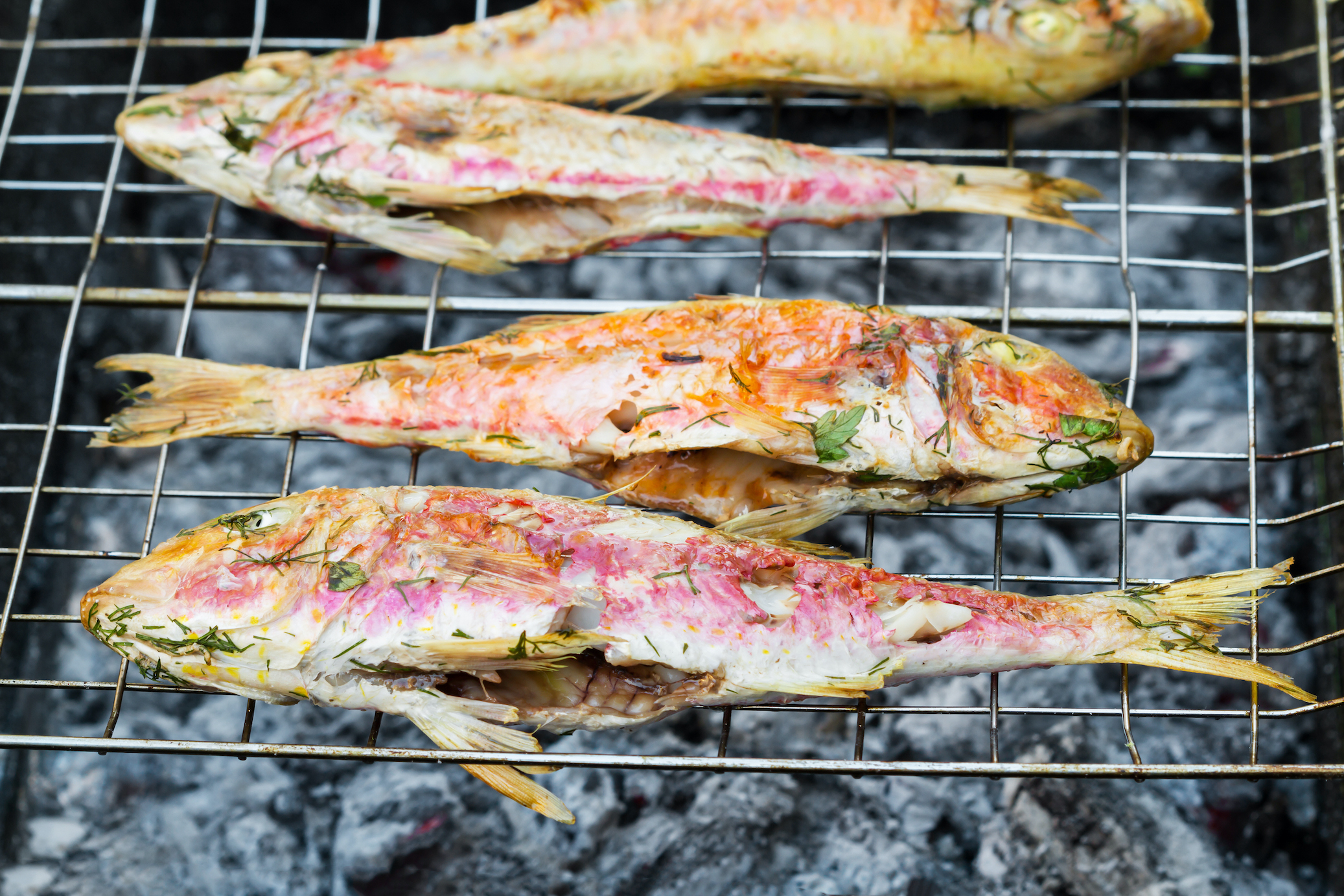 Las mejores recetas de pescado para barbacoa | REVISTA BBQ LIFE