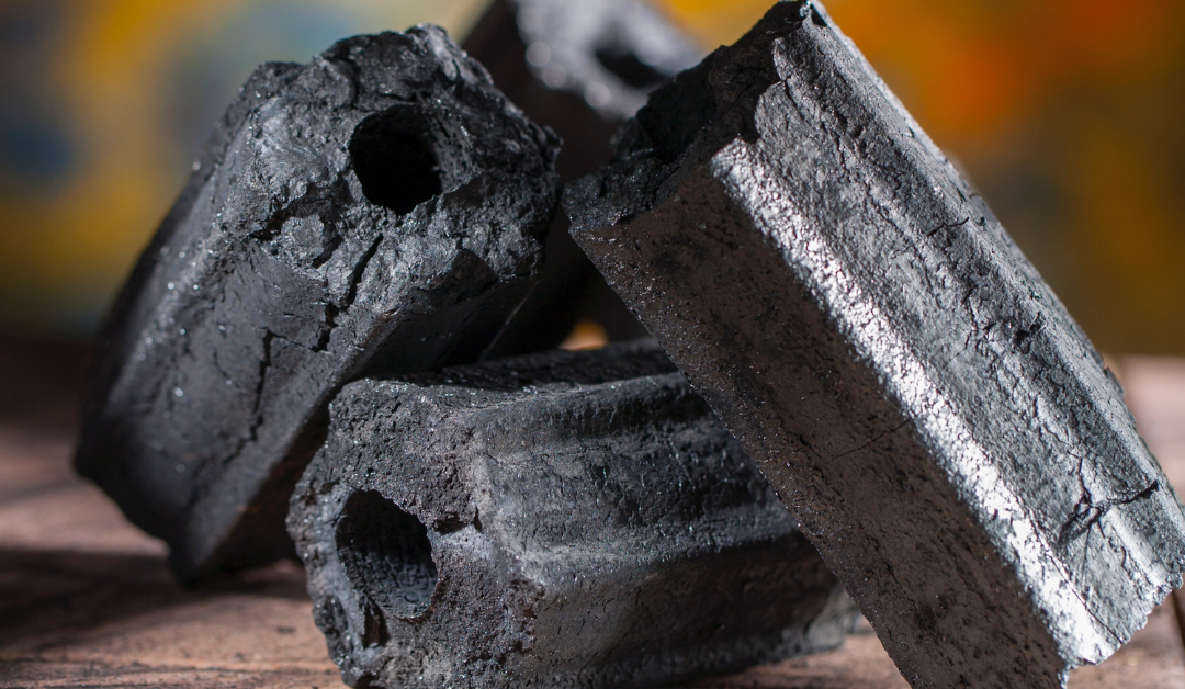 Carbón para barbacoa: por qué elegir encina y en qué fijarte al comprar