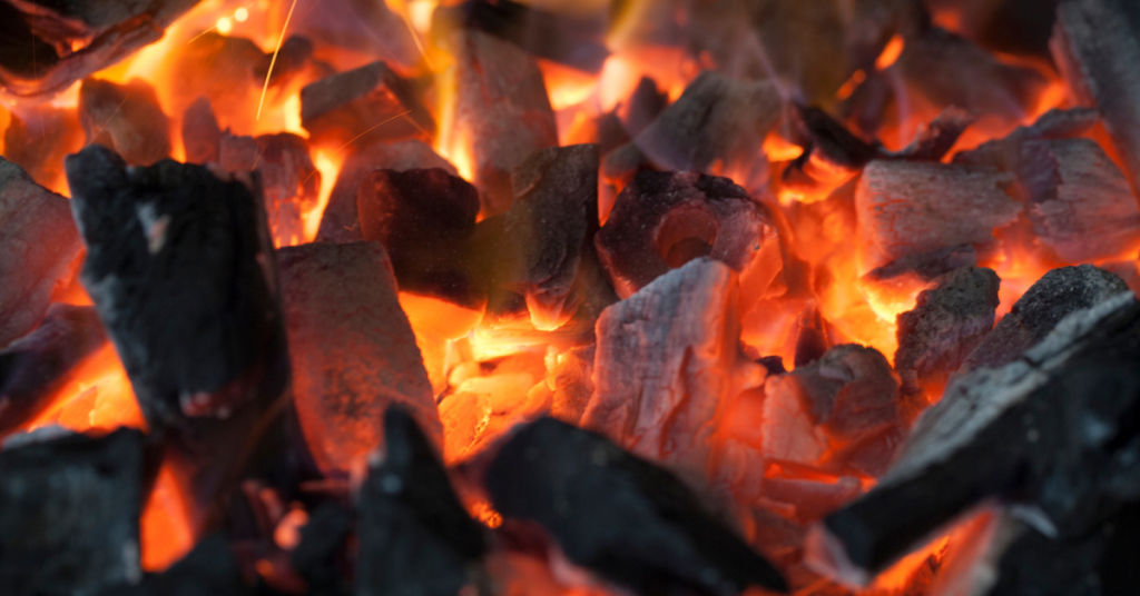 diferencias entre leña y carbón vegetal