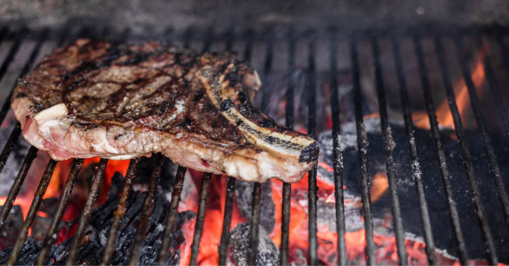 diferencias entre leña y carbón vegetal