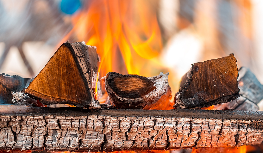 Mejor leña para barbacoa y horno: cómo elegir la madera para cada asado