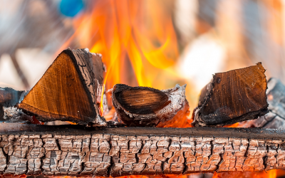 Mejor leña para barbacoa y horno: cómo elegir la madera para cada asado