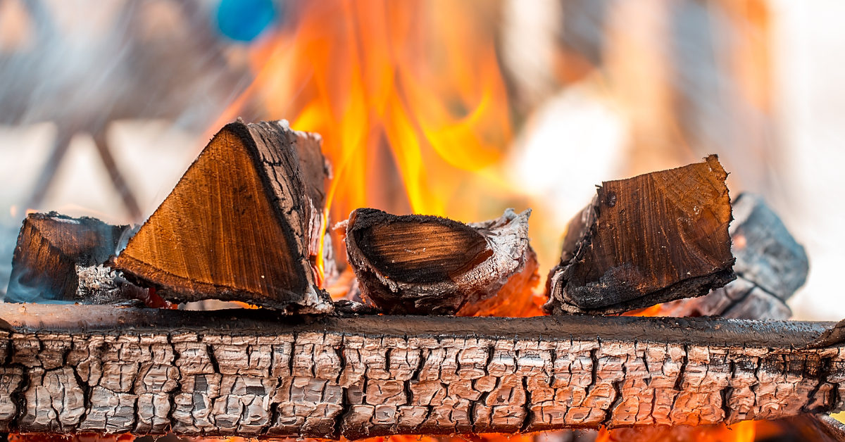 mejor leña para barbacoa