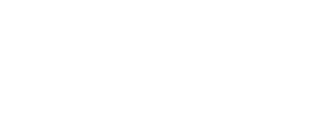 KAMADO JOE LOGO