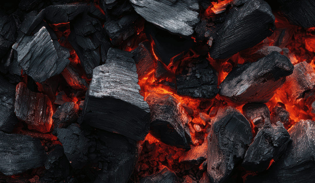 Qué carbón elegir en hostelería según el tipo de brasa que necesitas