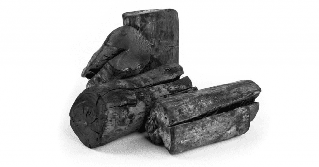 carbón para hostelería