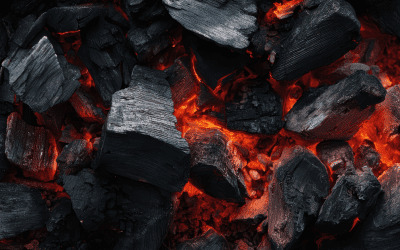 Qué carbón elegir en hostelería según el tipo de brasa que necesitas