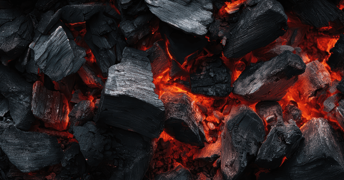 carbón para hostelería