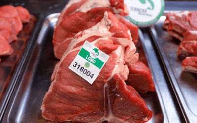 Brasas del Narcea 2026: tres días de brasa, carne y competición en Asturias