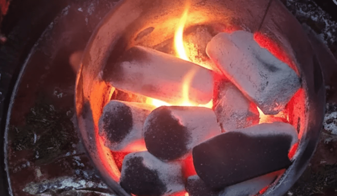 Briquetas de coco: Biobrasa vs Ecobrasa, ¿cuál elegir para tu barbacoa?
