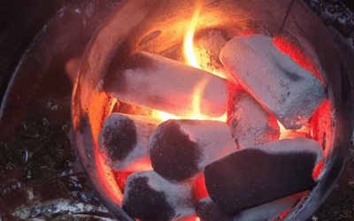 Briquetas de coco: Biobrasa vs Ecobrasa, ¿cuál elegir para tu barbacoa?